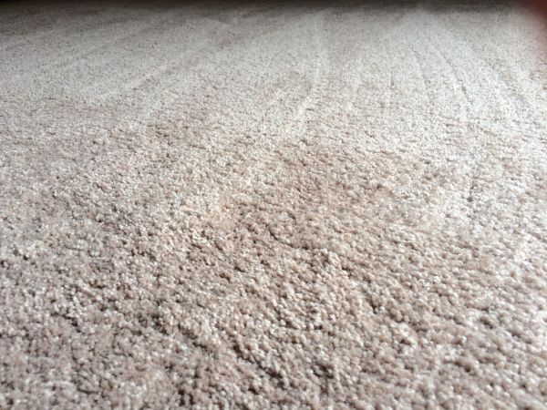 Plush Carpet Installation in Monroe