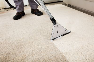 Clean and Fresh Carpet Surface